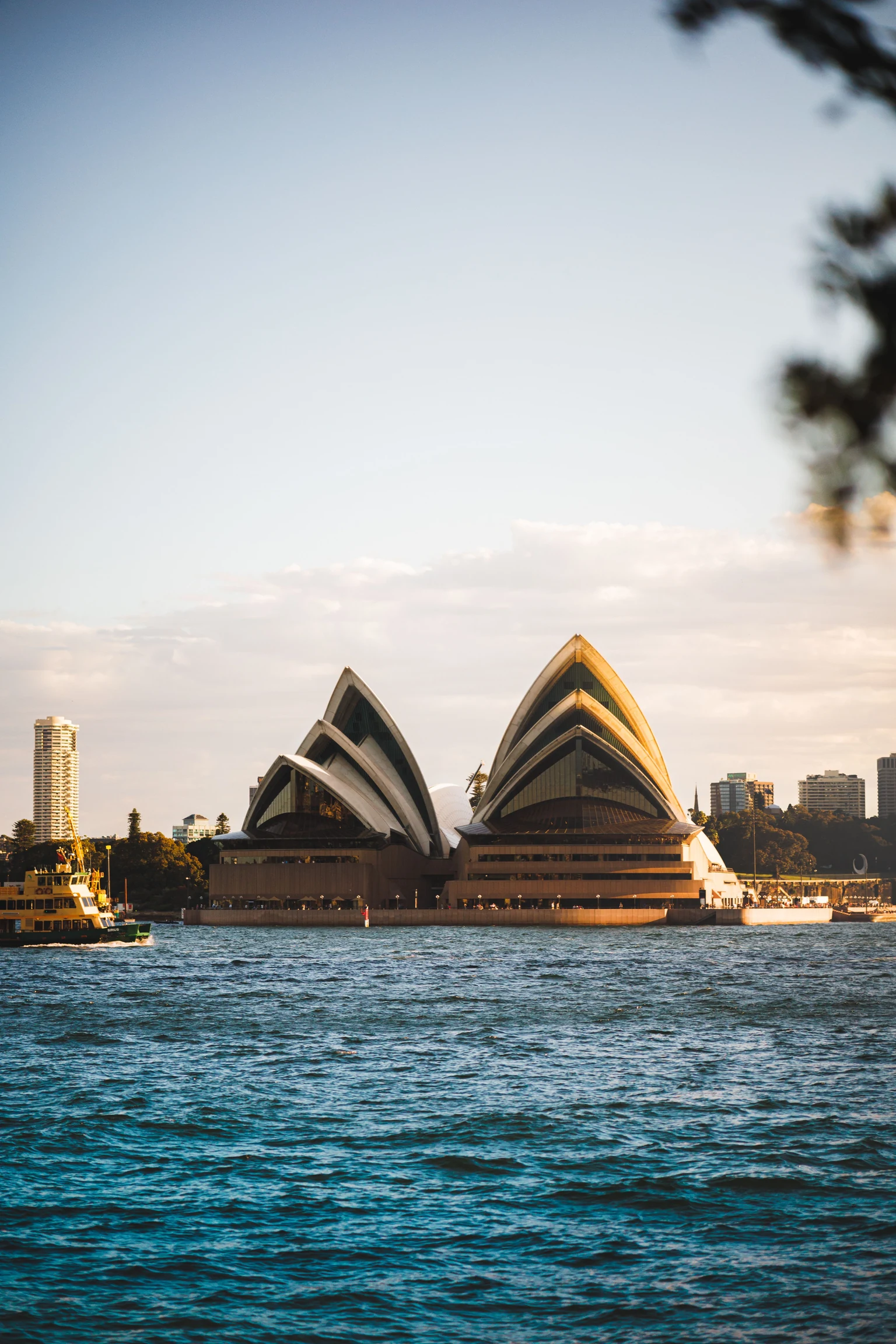 Sydney Opera House across the harbour, with city buildings along the water.